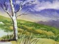 Springtime in the hills