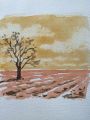 Ploughed Red Earth