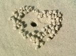 Love is Everywhere
